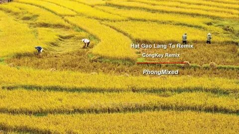 Hotspot Matrix và Khánh Hòa: Đề xuất triển khai xây dựng Đề án phát triển điểm du lịch_Hiệu quả tiếp thị kỹ thuật số kênh