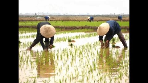 Sự Bùng Nổ Của Video Ngắn và Trí Tuệ Nhân Tạo: Vai Trò Thiết Yếu Của Đào Tạo Kỹ Năng Sáng Tạo Nội Dung_cách làm video ngắn thu hút người xem