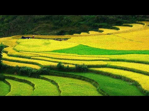 Chuyên gia Hotspot Matrix: Sử dụng AI để tạo ra video marketing thú vị với xu hướng_Tuyển dụng Ma trận điểm truy cập